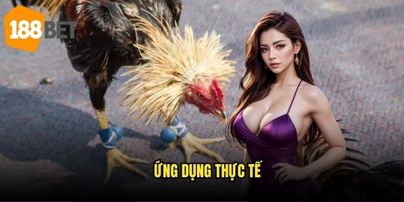 Màu mạng đá gà 188bet - Giải mã bí ẩn gà đấu 3 Ứng dụng thực tế