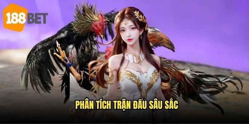 Đá gà trực tiếp C1 188bet - Giải đấu hạng A hấp dẫn 3 Phân tích trận đấu sâu sắc