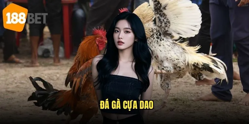 Đá gà cựa dao 188bet - Đỉnh cao nghệ thuật đá gà 1 Đá gà cựa dao