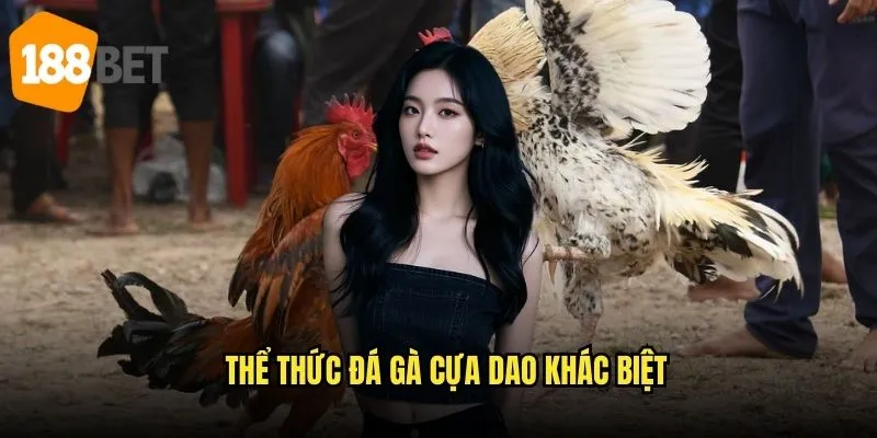 Đá gà cựa dao 188bet - Đỉnh cao nghệ thuật đá gà 2 Đặc điểm đá gà cựa dao