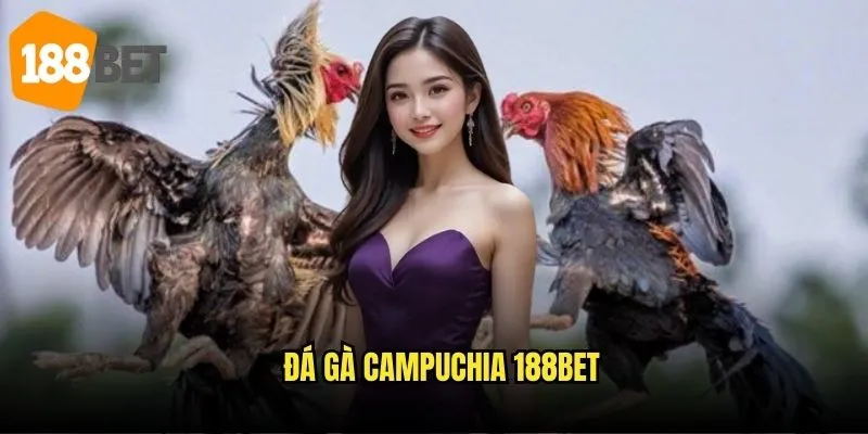 Đá gà Campuchia 188bet