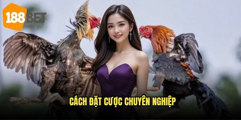 Đá gà Campuchia 188bet - Khám phá arena đỉnh cao 3 Cách đặt cược chuyên nghiệp